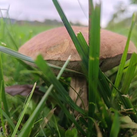 Ostoja Czersk Zamek Gora Kalwaria Daire Dış mekan fotoğraf