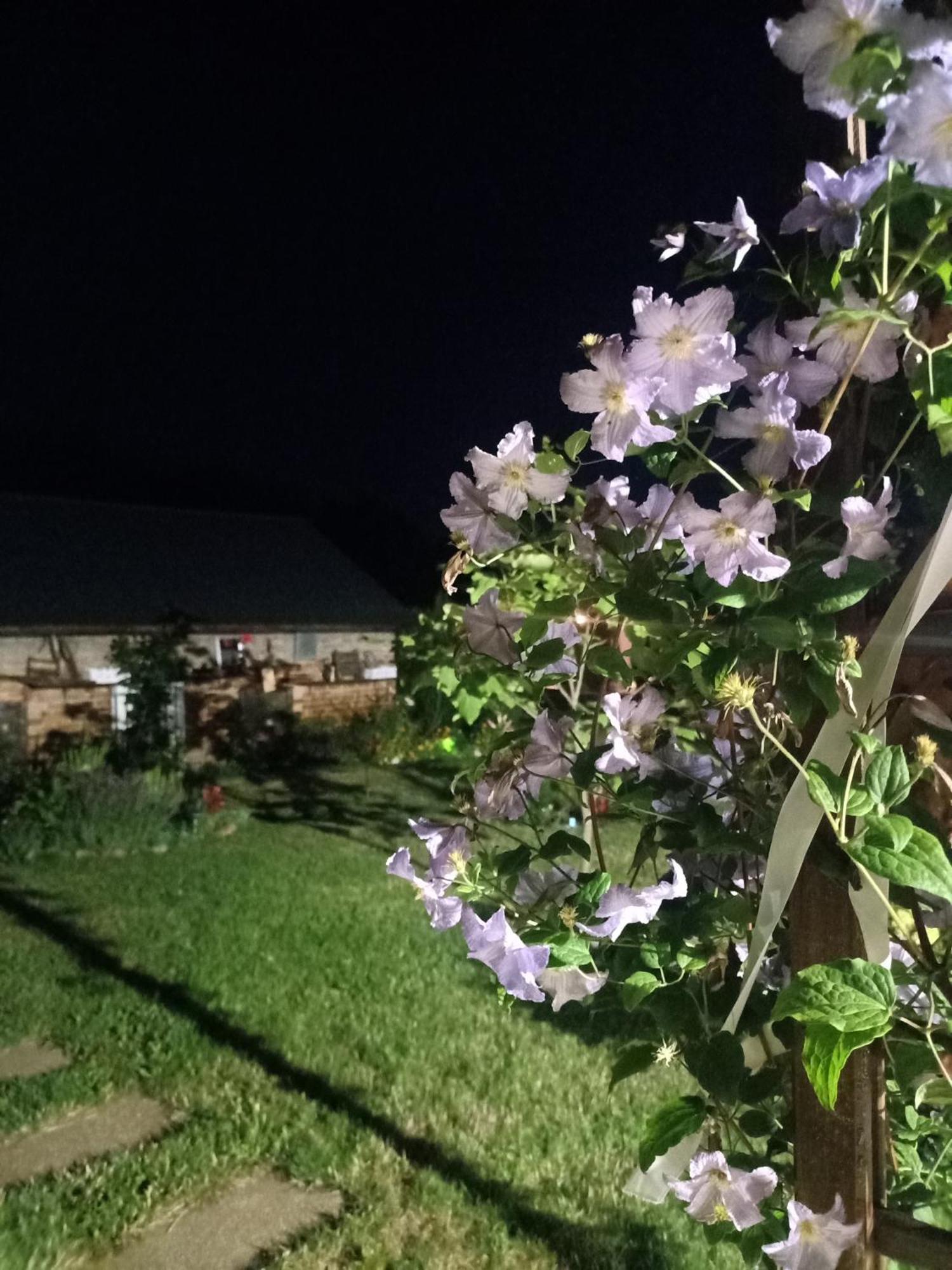 Ostoja Czersk Zamek Gora Kalwaria Daire Dış mekan fotoğraf