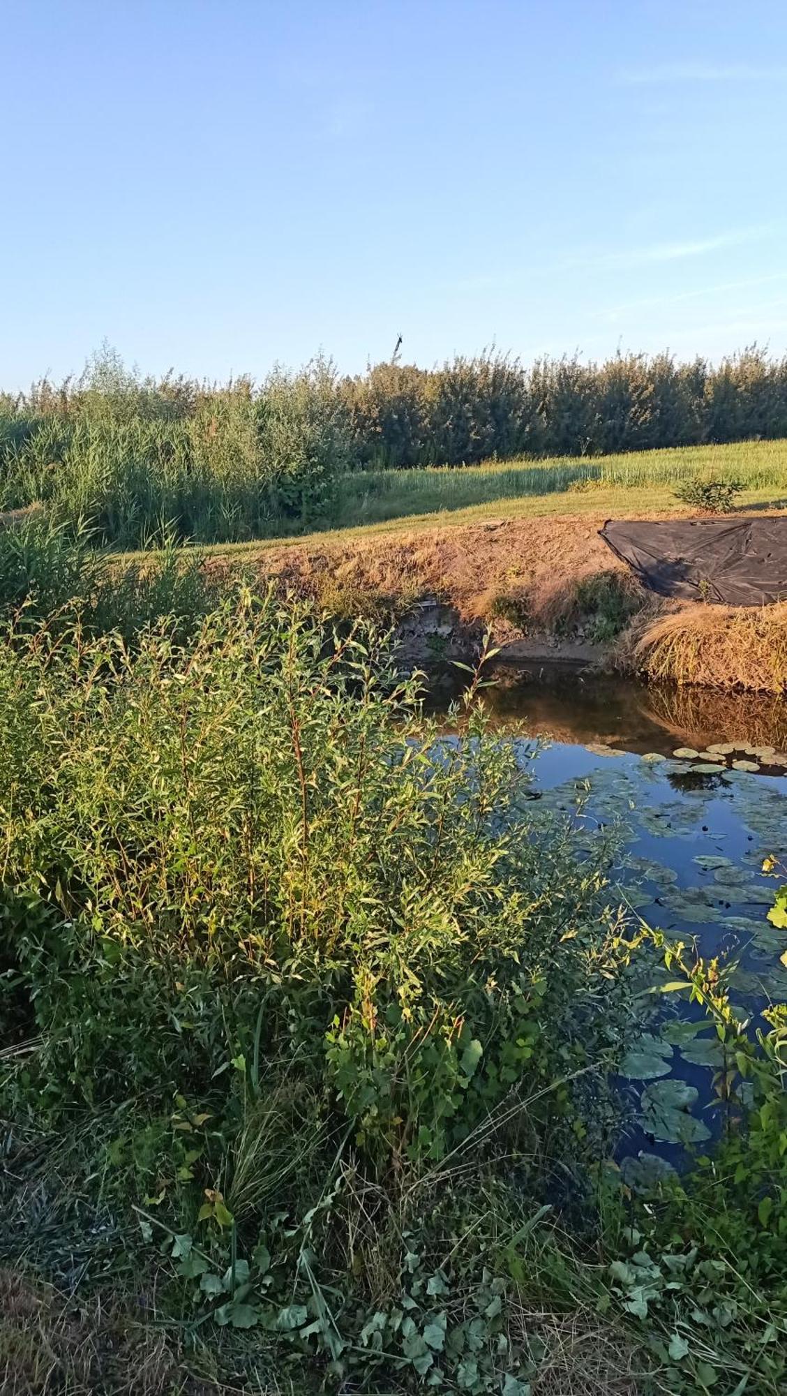 Ostoja Czersk Zamek Gora Kalwaria Daire Dış mekan fotoğraf